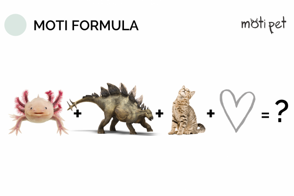 moti1 moti1